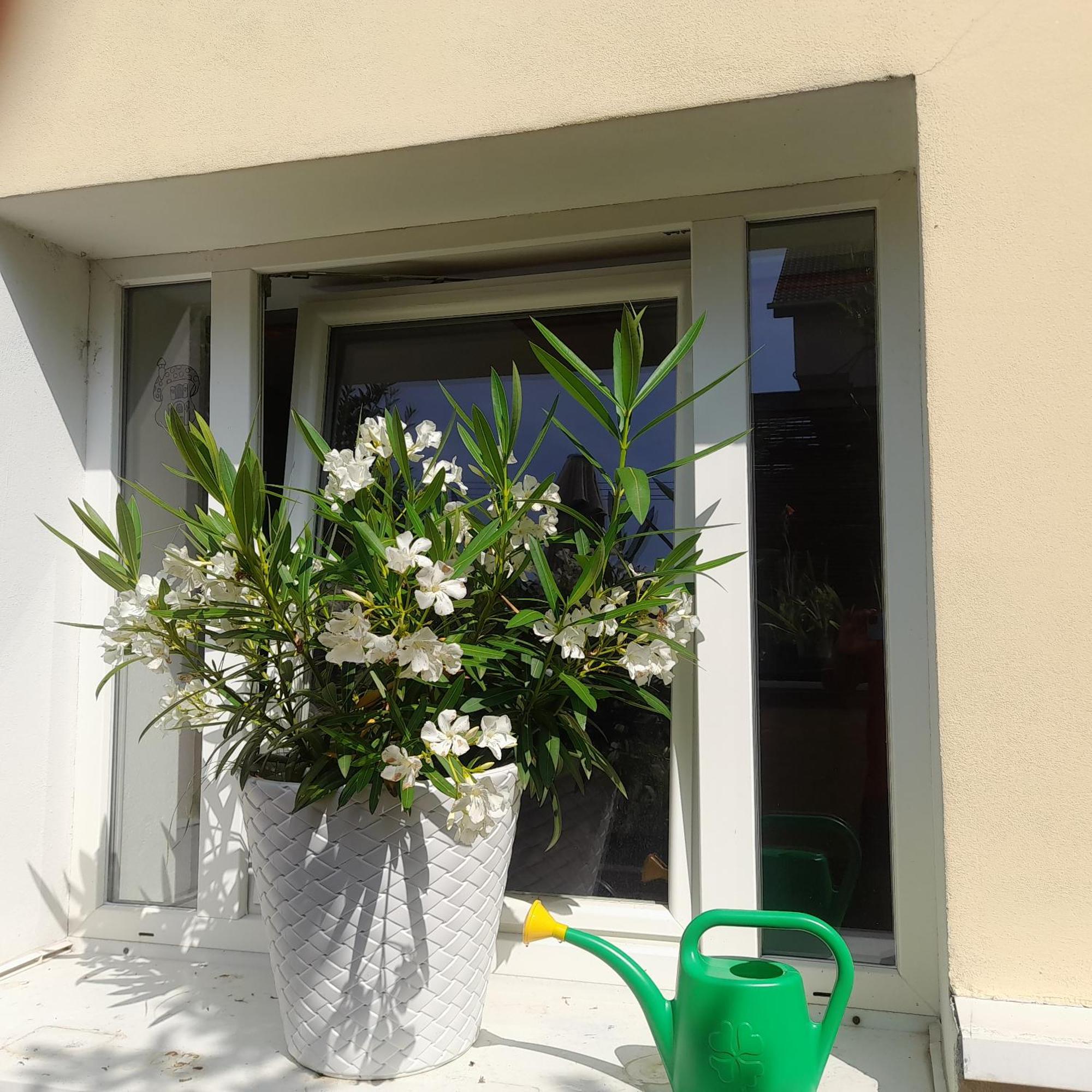 Privat 2 Na Sihoti Appartement Trenčín Buitenkant foto